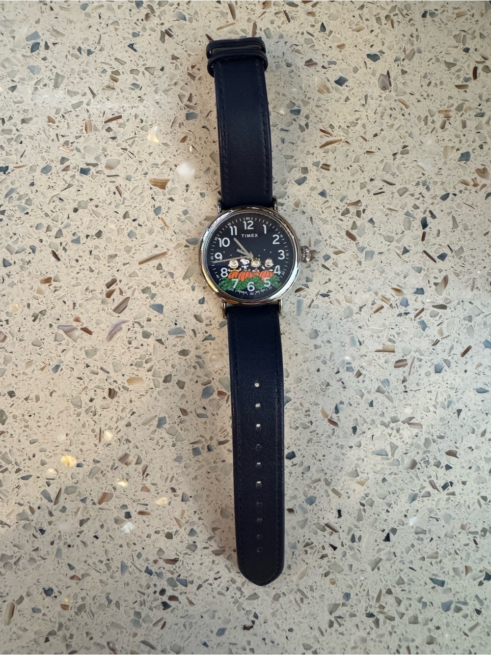 Timex Navy Dial Peanuts Pumpkin Watch with Blue Strap EUC - Picture 2 of 7